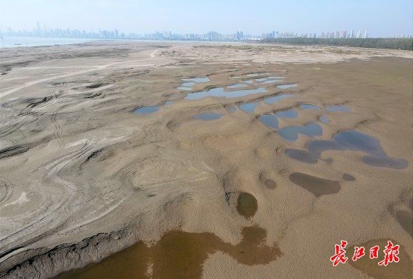 水位|长江水位退，沙洲现奇景