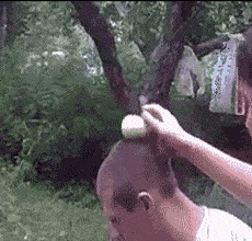 |搞笑GIF:姜还是老的辣啊,看看人家这下手真是稳准狠