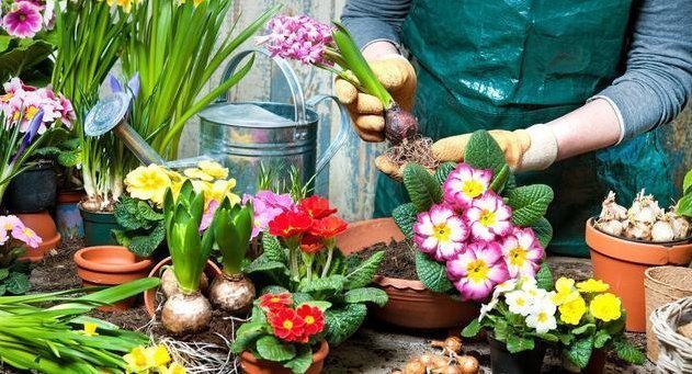 顺手|易过期的3种“小东西”,别再顺手扔了,用来养花,比淘米水强