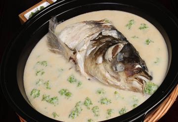 捞汁虾螺汇|美食推荐:五彩拉皮、捞汁虾螺汇、有机珊瑚鲜鱼头制作方法