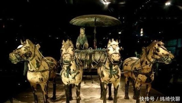 对人类贡献最大的一种动物,没有它,人类的发展不会如此迅速