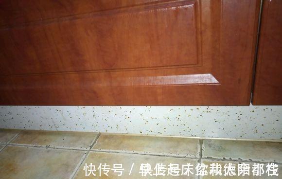 玻璃胶|入住新房一年多,具有生活温度的22个装修设计经验