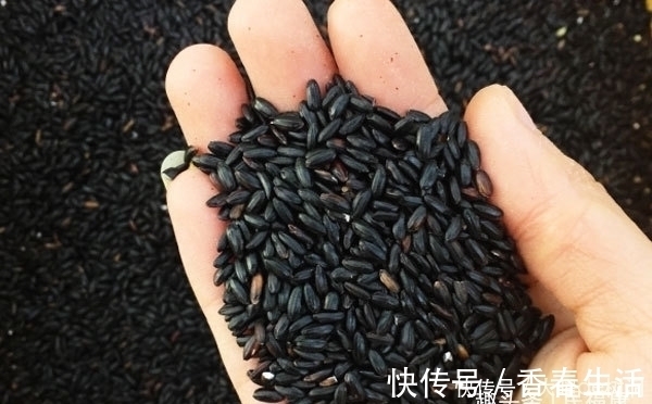 疾病|45岁至59岁是“养寿期”,多吃3黑,做好4戒,或能更长寿