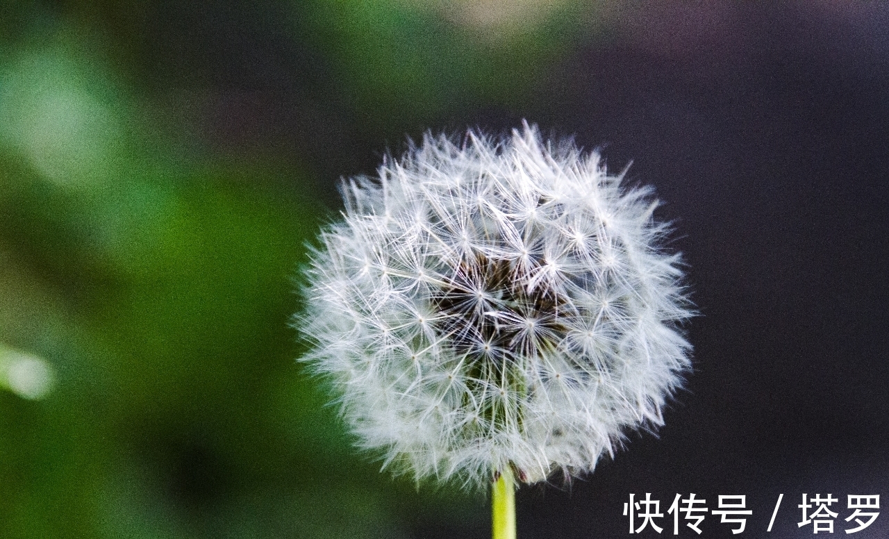 人类!所有人都能自行得出的哲学道理,只用四个词概括人间万象