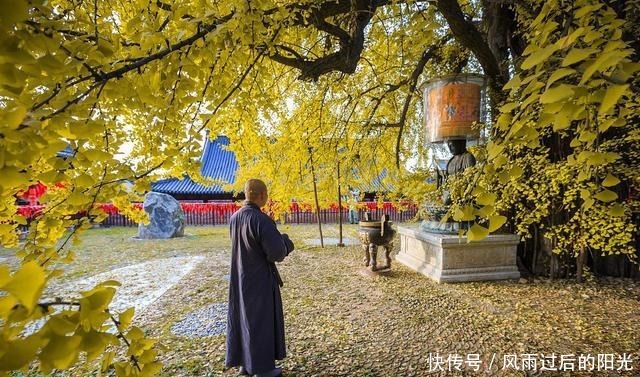  人对于自己|拾得人的一生，要学会原谅两个人