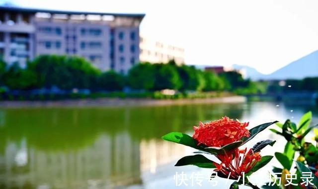 血压|为什么电子血压计不准?医生实话实说