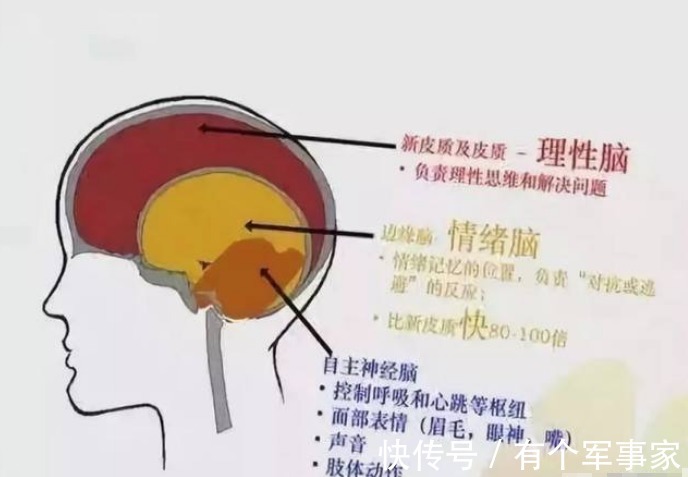 性格|3~6岁是性格养成的关键期，这4方面使劲管，孩子将来更有出息