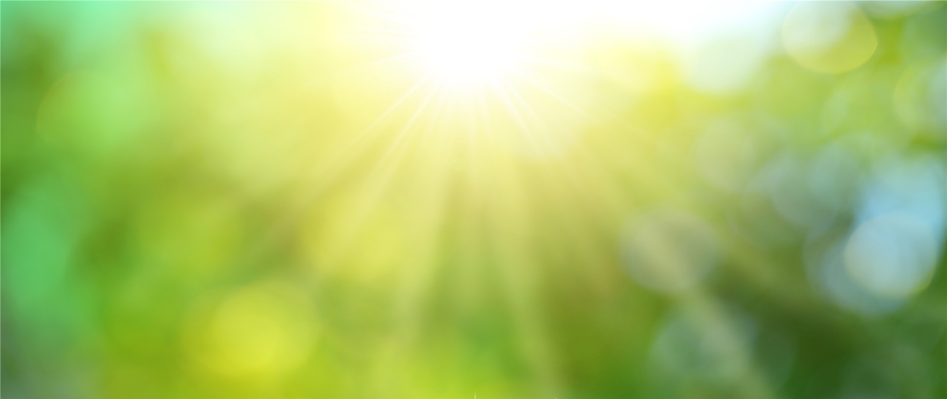 下面3种情况，钓鲫鱼是不能钓底的；不信的话，你可以试试