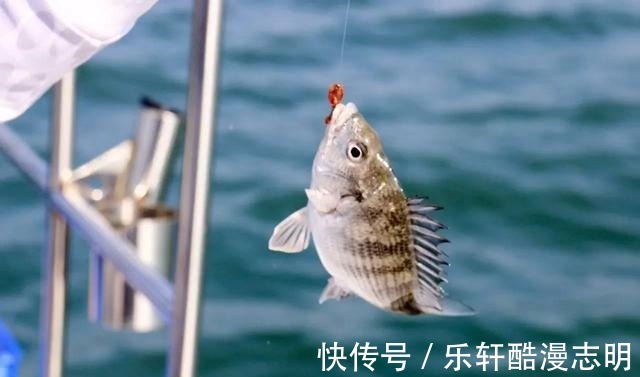 冬天钓鱼,蚯蚓和红虫哪个效果更好老钓手告诉你答案