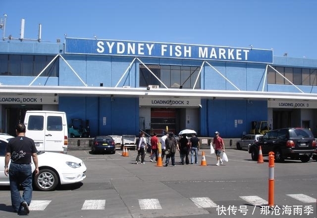 听说澳大利亚是个不会钓鱼都能钓上来鱼的地方,果然钓爆了