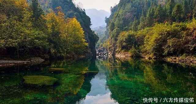 牛牛牛！走进“牛”景区，沾沾“牛”气儿去！