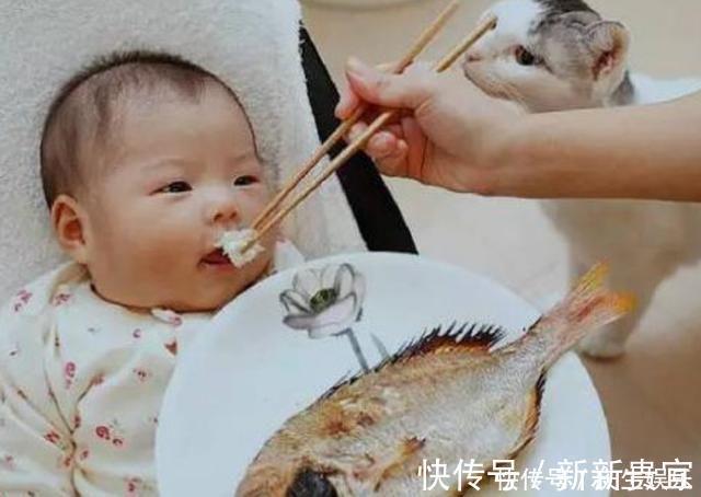 辅食|没营养还易积食的“毒辅食”,不少家长还在喂,害了孩子还不自知