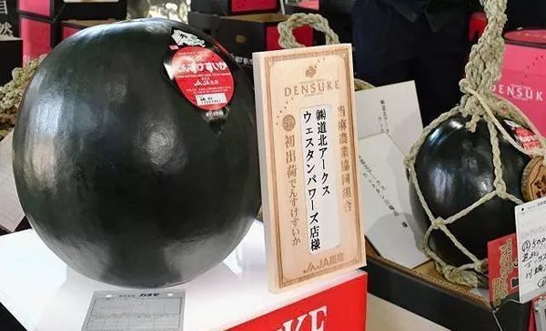 草莓|世界上最贵的水果,吃过3种以上的都是土豪啊