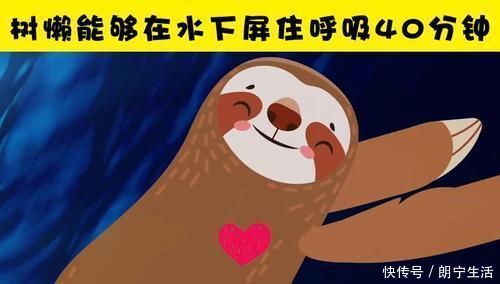 感受器 虽然很有趣,但并不是每个人都听说过的7个冷知识