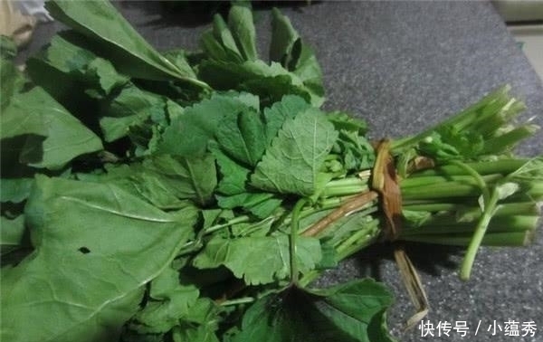 白菜|它当了2000年的“百菜之王”，却被白菜取代，为啥没人吃了