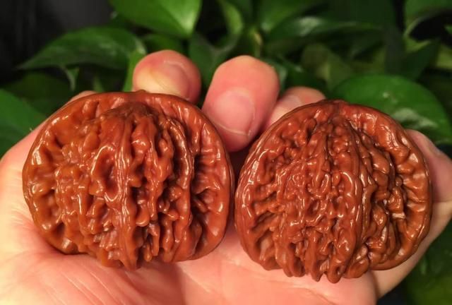 文玩太娇气,玩着玩着就毁了?开玩笑,这6种文玩,根本玩不毁!