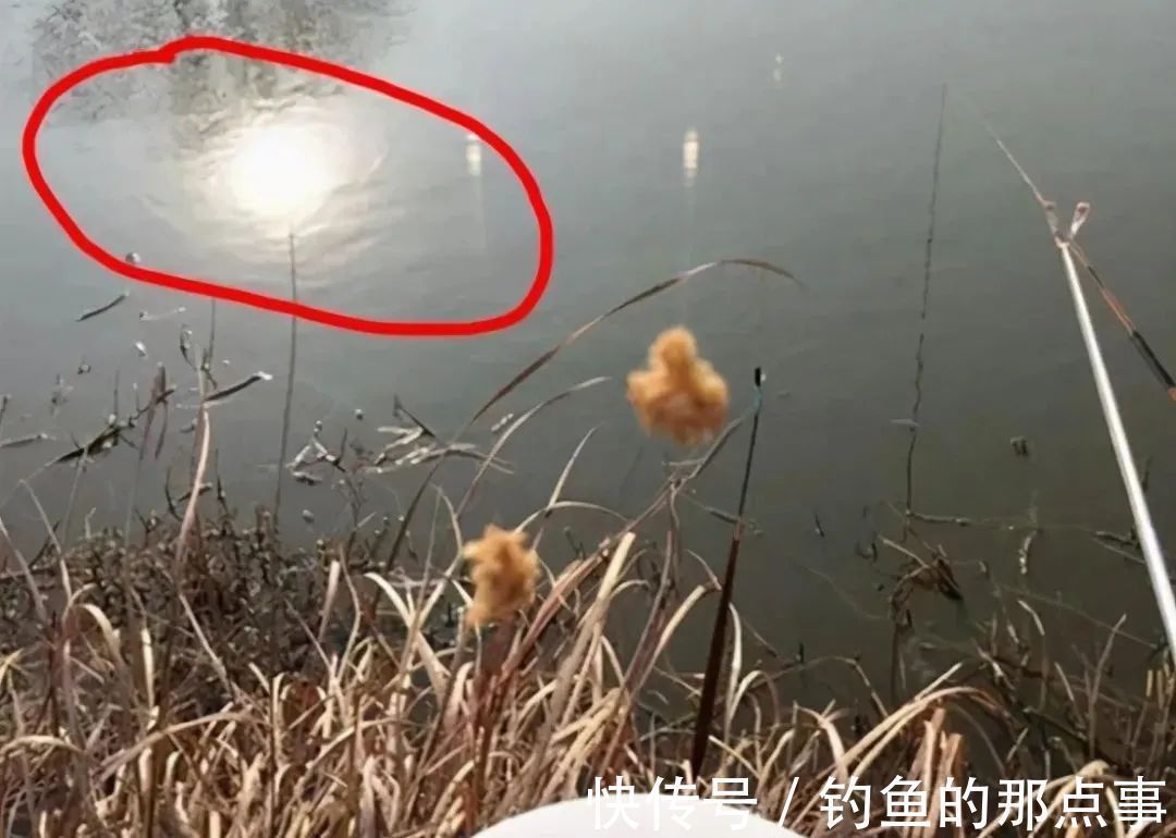 冬季最佳钓鱼时机为何时?悄悄告诉您,遇到这些天气可千万别错过