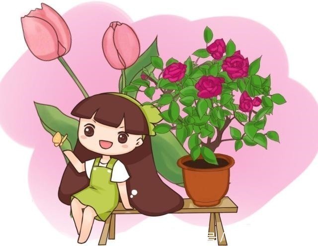 家里有花园，一定要种这几种花，不用打理就能花开满园！