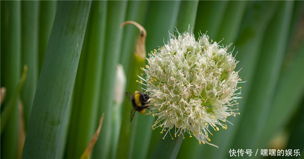  身体更加|养生是什么这4条良好的生活习惯就是养生