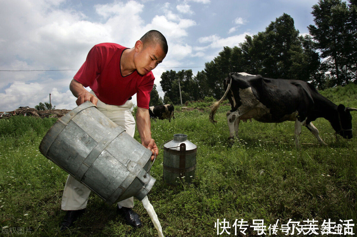 酸奶|老年人这样喝酸奶,比牛奶更有营养,促进消化吸收,更健康