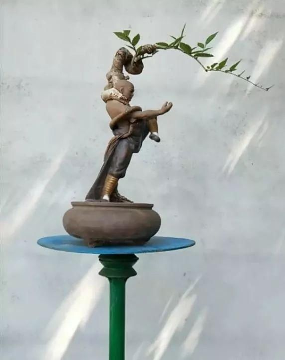 盆景玩成这样，真无语……