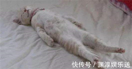 |沙雕动画,搞笑:被垃圾人欺负?看我有教养的反怼!