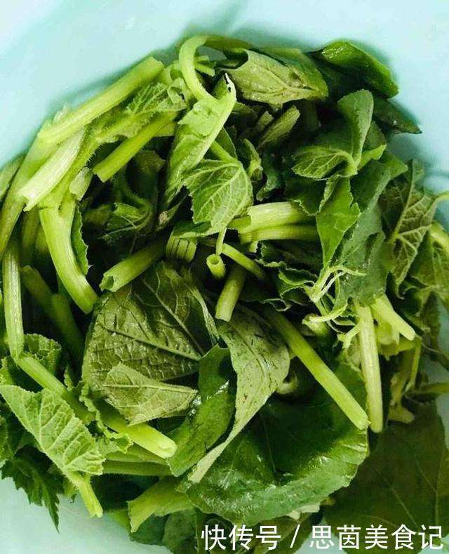 7成人把它當(dāng)“雜草”,一分錢不花,潤腸排毒,口臭不見了,別不懂吃