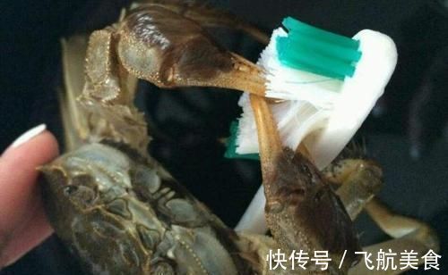 螃蟹直接上锅蒸就毁了,渔民教你一招,不流黄也不掉腿,特鲜