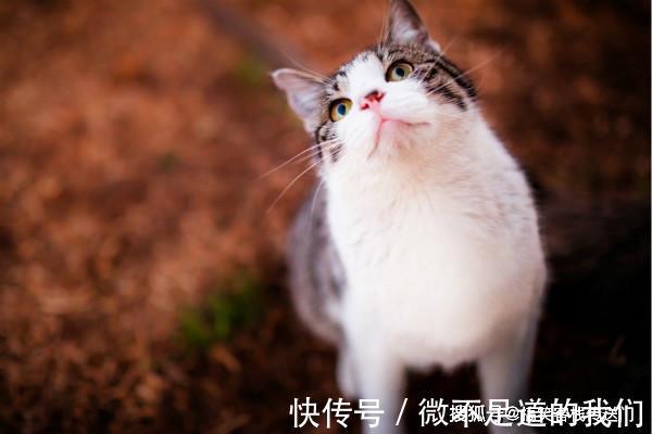 |内涵段子:我有个闺蜜,她曾是个淑女......