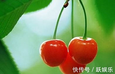 食物|会吃的人最长寿,三种食物要多吃,强筋骨,养心安神,早食早受益