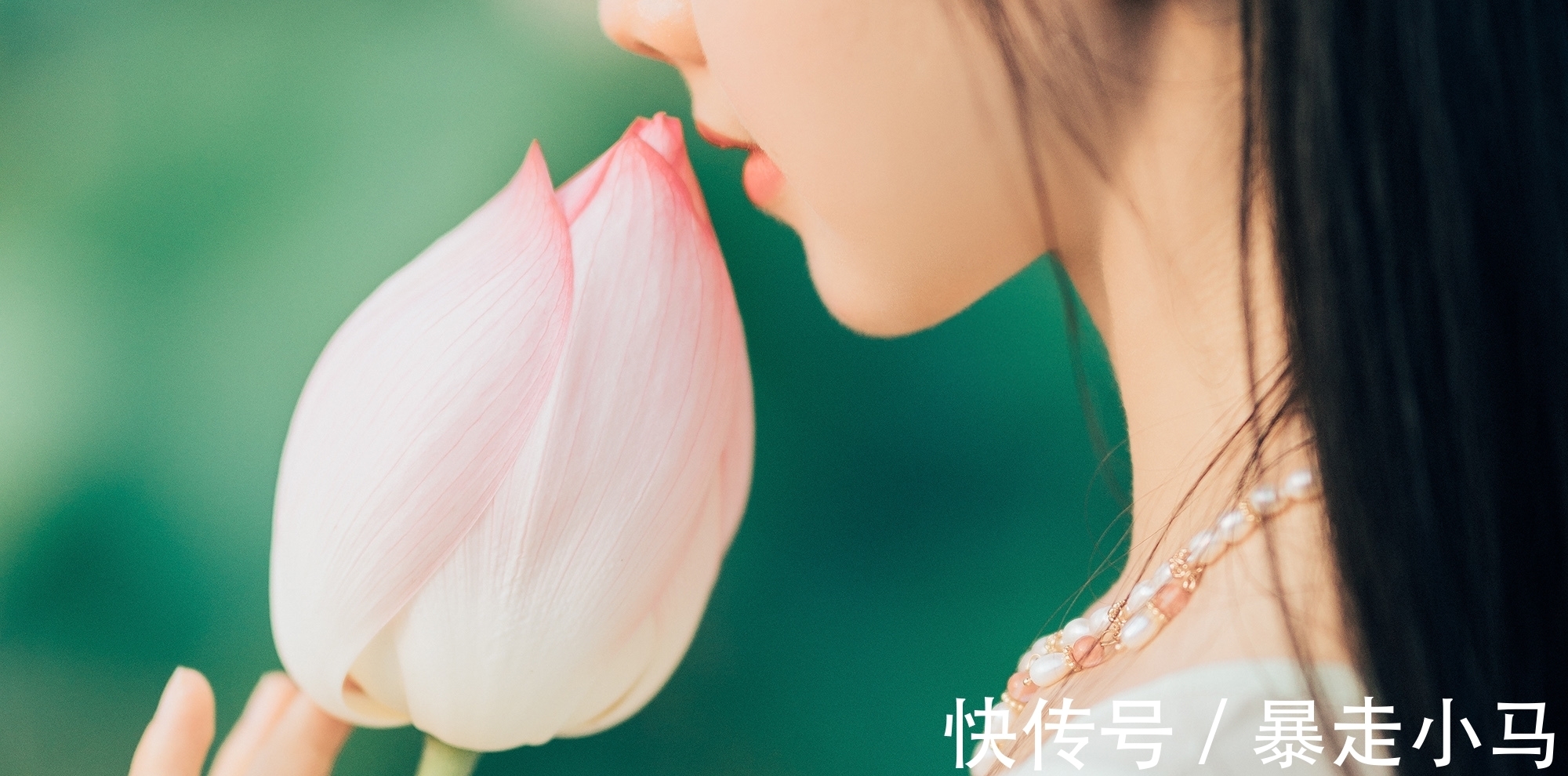 清风明月!谁说当代无好诗?推荐34首好诗,送给苍凉冬天,像一壶老酒温暖你