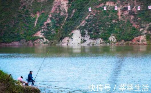 垂钓|钓鱼高手分享的诱饵秘诀，跟着老钓手学饵料搭配注意事项！