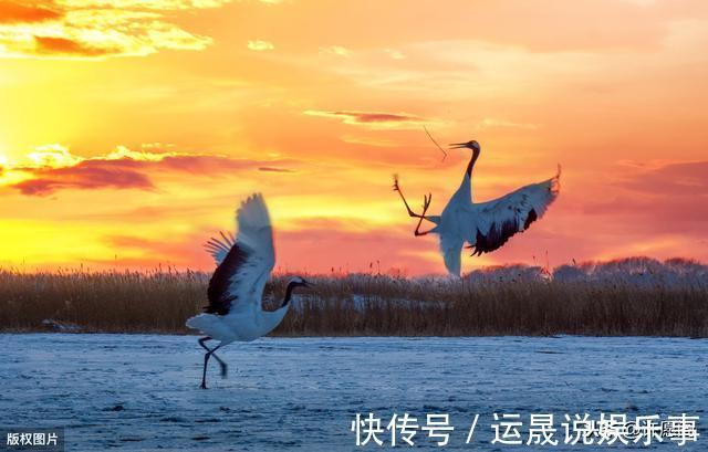 认知障碍|60岁以后,5件事不得不怕、不得不防!记住,并转告给老友们