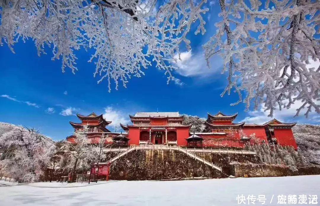 酒糟|走进永州阳明山，看杜鹃花海，赏云山雾海，吃猪脸腌制的酒糟肉