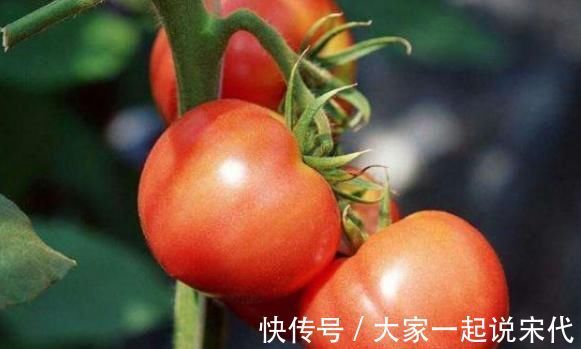 维生素常吃西红柿好处多，但不能与此食物一起吃，会影响身体健康