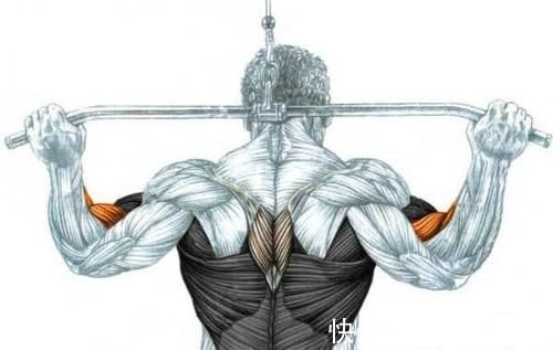 杠铃|一直被质疑，却一直被重视，为什么它让健身人士又爱又恨