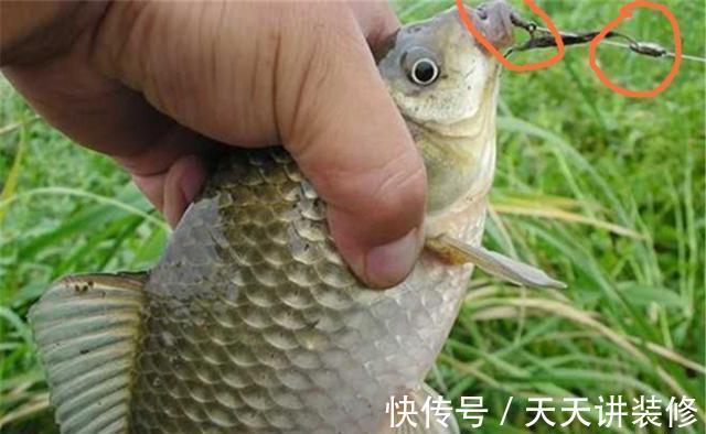 钓法|夏季刮风天钓鲫鱼,用七星漂双铅钓法,刮风也能下钩精准