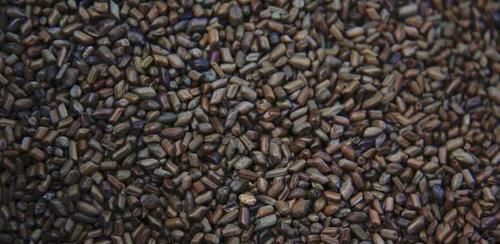 胆固醇|这6种食物是天然“降脂菜”, 高血脂的人不要错过了