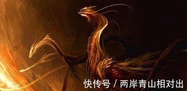 四大灵猴|神话中鸟王是凤凰，那么龙王、狮王、狗王、猴王又分别是谁！