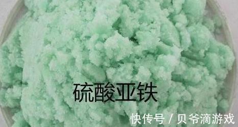 盆土板结怎么办,教你学4招,土壤松软如面包,快瞧瞧吧