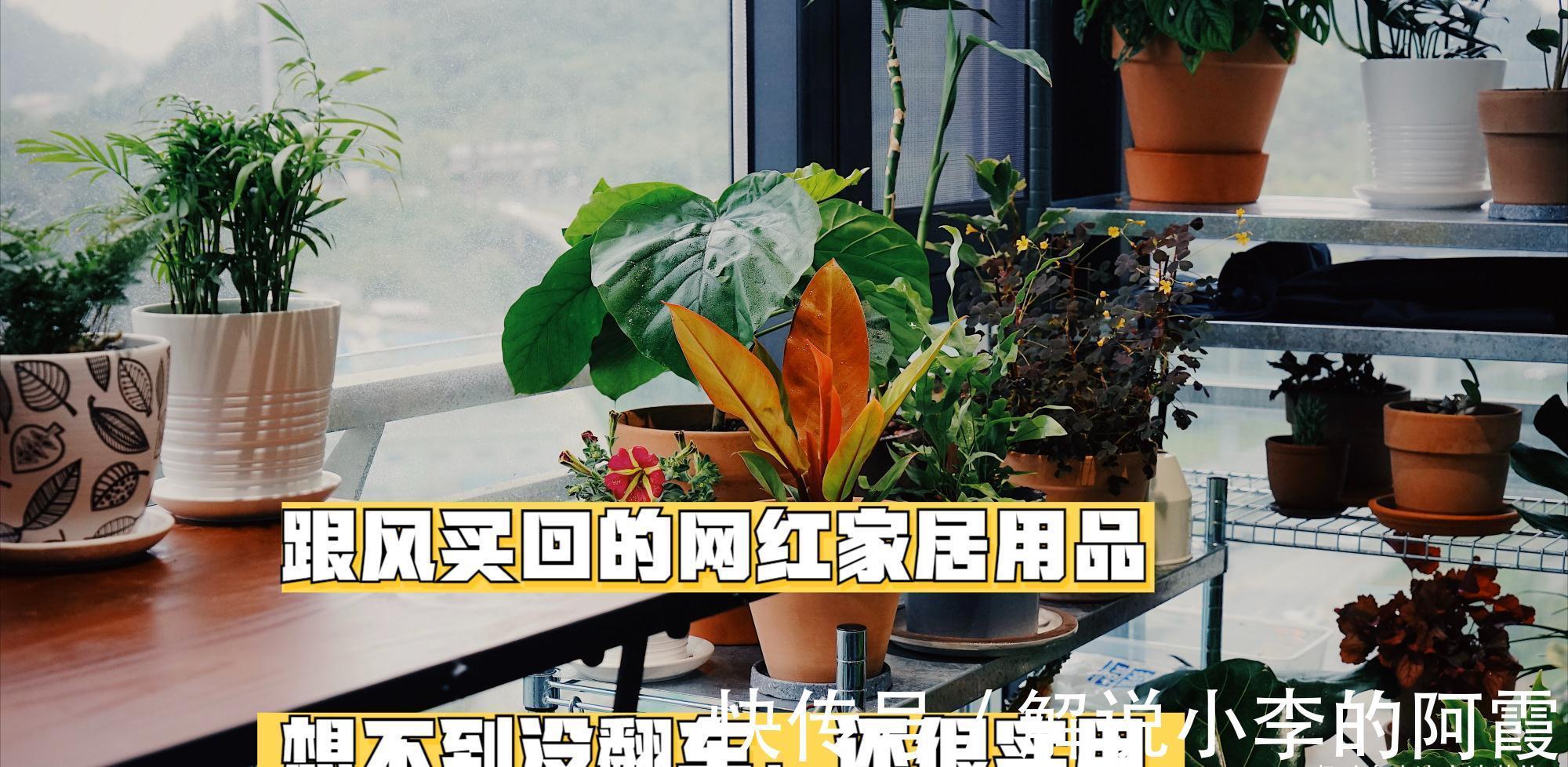 沐宸|跟风买回的网红家居用品,想不到没翻车,成为使用频率最高的东西