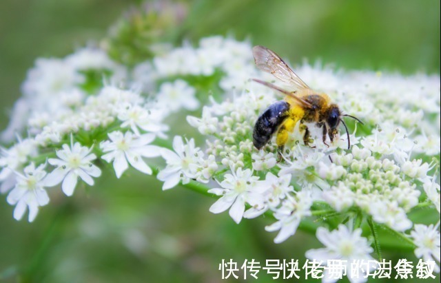 人性格|下半月，吉星照耀，祥云笼罩，事业平步青云，生活幸福的3大星座