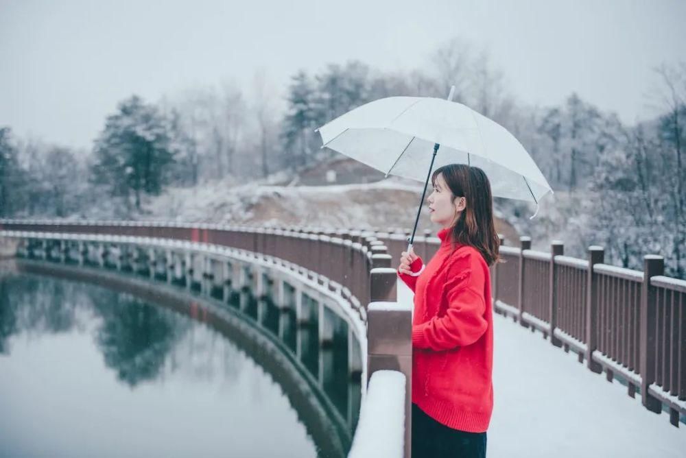 下雪|太美了！月坝下雪啦，刷爆朋友圈！