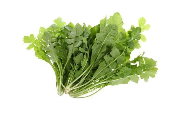 番茄|药食同源!7种常见蔬菜的惊人养生妙用,早知早受益