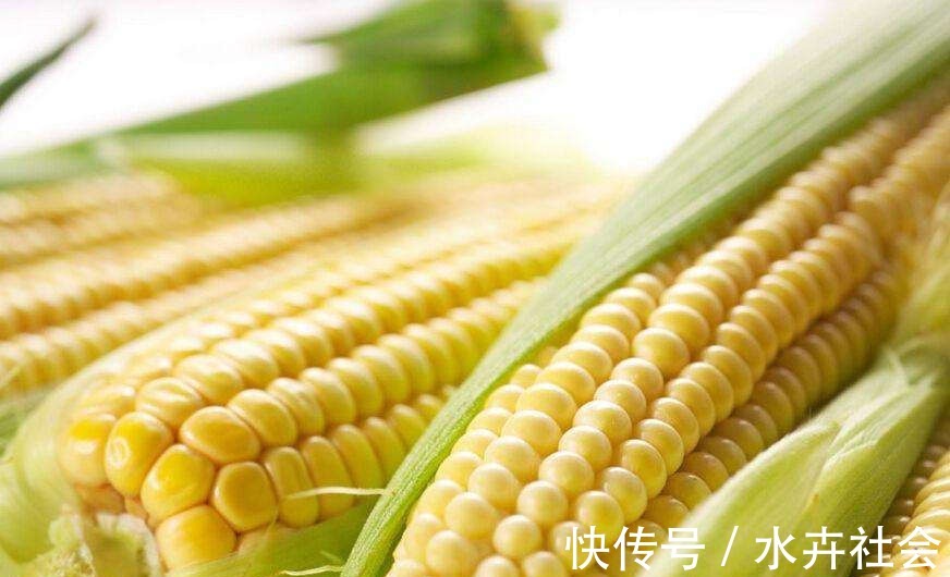 五种野钓大鱼的神饵,都藏在你家的厨房,老钓鱼人都在偷偷用