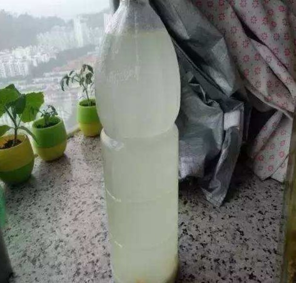 鸡蛋壳养花能促花,淘米水浇花长得旺,但是大部分人都做错了