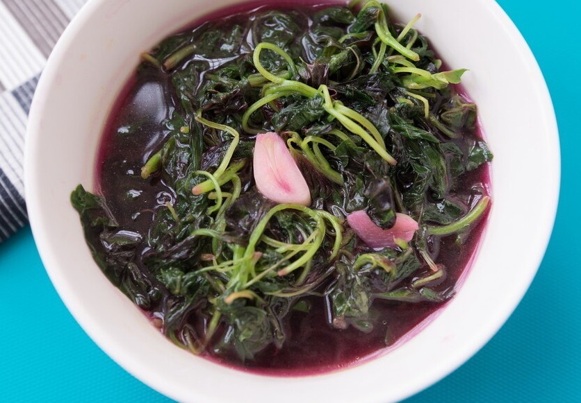 长寿菜|好吃又补血的长寿菜，改良后的品种，更容易种了，赶紧试试