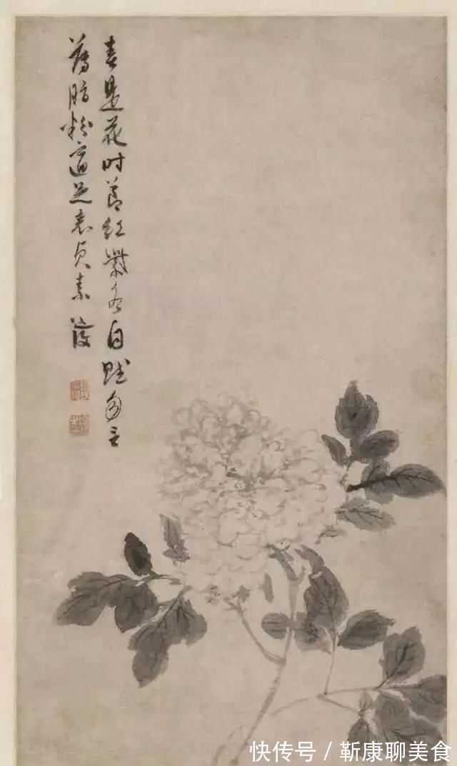 唐寅@不少大师钟情于牡丹,对于牡丹的画法,历代大师都有自己的感悟