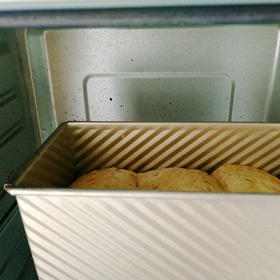 发酵|全麦红枣吐司