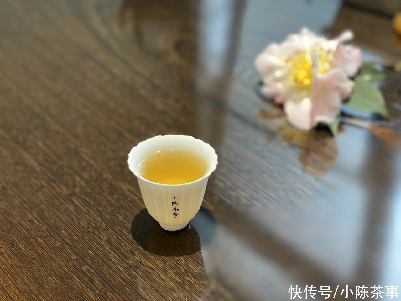 白茶品鉴手记|早上泡杯白茶,晚上再喝?看完这四点原因,答应我别再以身试茶了